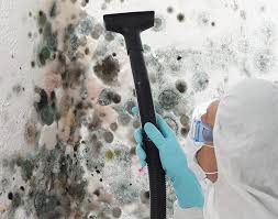 Best Black Mold Removal in Galesville, MD